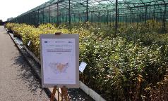 00A_IC_ImmagineInsieme 00A_IC_ImmagineInsieme