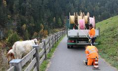 Campus Smart Olimpiadi(34) Campus Smart Olimpiadi(34)