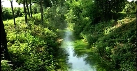 Il Fontanile Nuovo di Bareggio