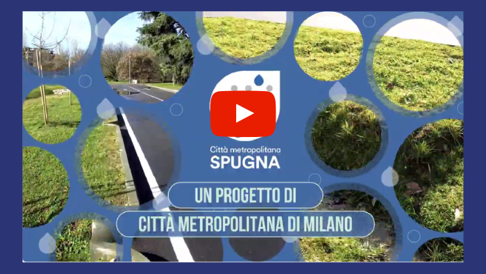 spugna