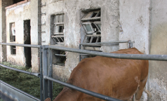 Cascina Battivacco