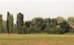 Cascina di Mezzo