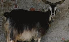 Cascina Felice