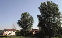 Cascina Gavazzo