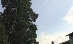 Cascina Grassina