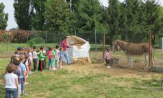 Cascina Guzzafame