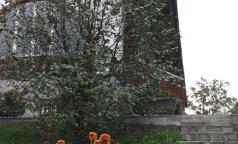 Cascina Marianna