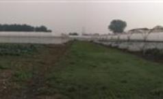 Cascina Mischia