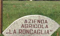 Cascina Roncaglia