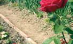 Cascina Roverbella