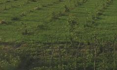 Cascina Scanna