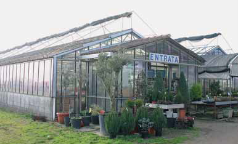Floricoltura Ravelli