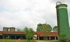 Galimberti