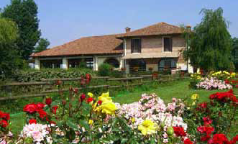 Il Mulino
