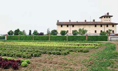 Sant' Ambrogio