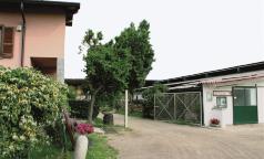 Pasqualini