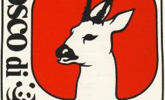Logo Bosco WWF