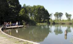 Boscoincittà