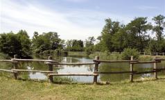 Laghetto Gambarino