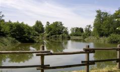 Laghetto Gambarino