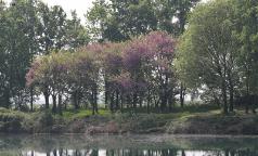 Lago Boscaccio