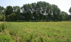 Parco Agricolo Ticinello