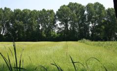 Parco Agricolo Ticinello