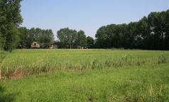 Parco Agricolo Ticinello
