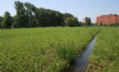 Parco Agricolo Ticinello