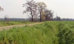 Parco dei Fontanili