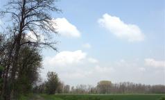 Parco dei Fontanili