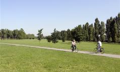 Parco di Trenno