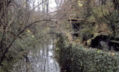 Bosco della Giretta