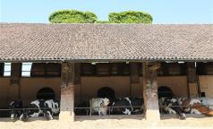 Cascina Femegro