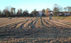 Pasturago di Vernate