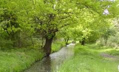 Oasi di Lacchiarella