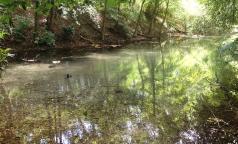 Fontanile Nuovo di Bareggio