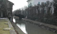 Trenzanesio