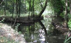 Fontanile Rile