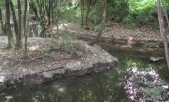 Fontanile Rile