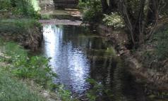 Fontanile Rile