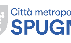 spugna-pagina