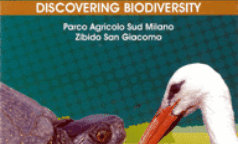 biodiversita