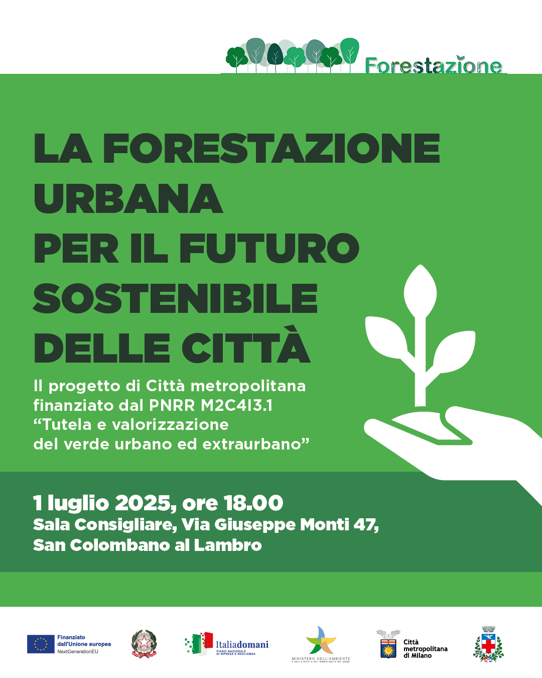 forestazione_1725 forestazione_1725
