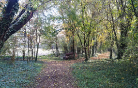 Tutti i fine settimana sino ai primi di ottobre, il Parco propone diverse visite guidate gratuite in alcune delle sue interessanti aree naturalistiche