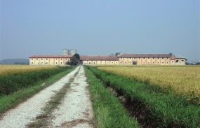 L'agricoltura costituisce l’attività portante del sistema di tutela territoriale ed ambientale. L’agricoltura nel Parco oggi fa molto più di questo, favorendo la fruizione del territorio da parte dei cittadini, con la finalità di avvicinare il consumatore al mondo agricolo, far conoscere la qualità dei prodotti e soprattutto fare incontrare la campagna con la città.