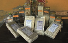 L'agricoltura costituisce l’attività portante del sistema di tutela territoriale ed ambientale. L’agricoltura nel Parco oggi fa molto più di questo, favorendo la fruizione del territorio da parte dei cittadini, con la finalità di avvicinare il consumatore al mondo agricolo, far conoscere la qualità dei prodotti e soprattutto fare incontrare la campagna con la città.