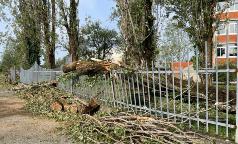 WhatsApp Image 2023-07-24 at 10.33.32 (3) WhatsApp Image 2023-07-24 at 10.33.32 (3)