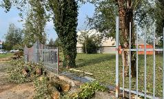 WhatsApp Image 2023-07-24 at 10.33.32 WhatsApp Image 2023-07-24 at 10.33.32