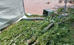 WhatsApp Image 2023-07-24 at 10.33.33 (10) WhatsApp Image 2023-07-24 at 10.33.33 (10)